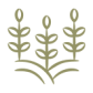 icon-1.webp