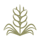 icon-4.webp